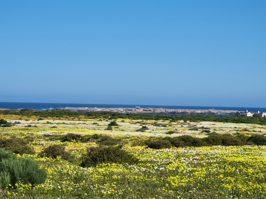 3 Bedroom Property for Sale in Villa Diamante Western Cape